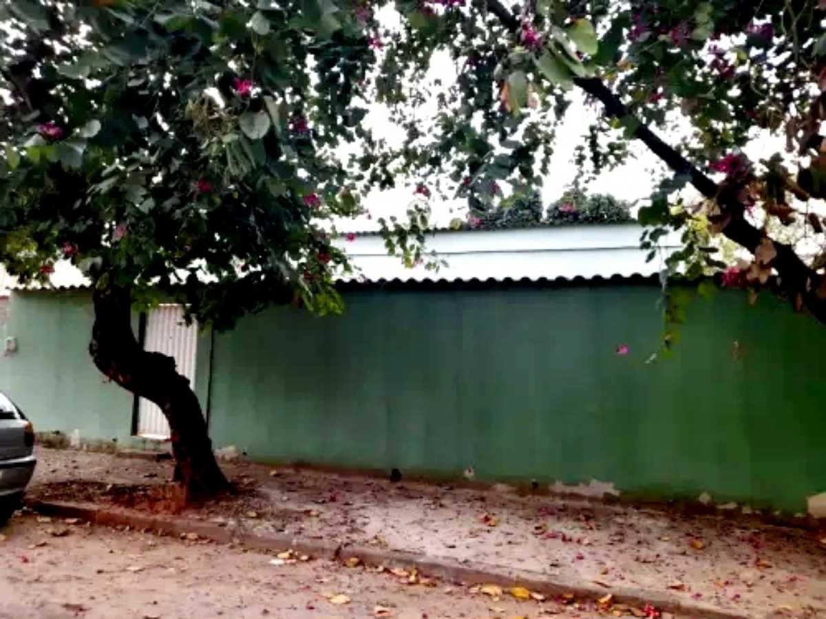 Casa, 3 quartos, 260 m² - Foto 23