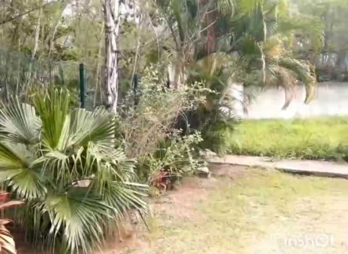 Terreno, 800 m² - Foto 3