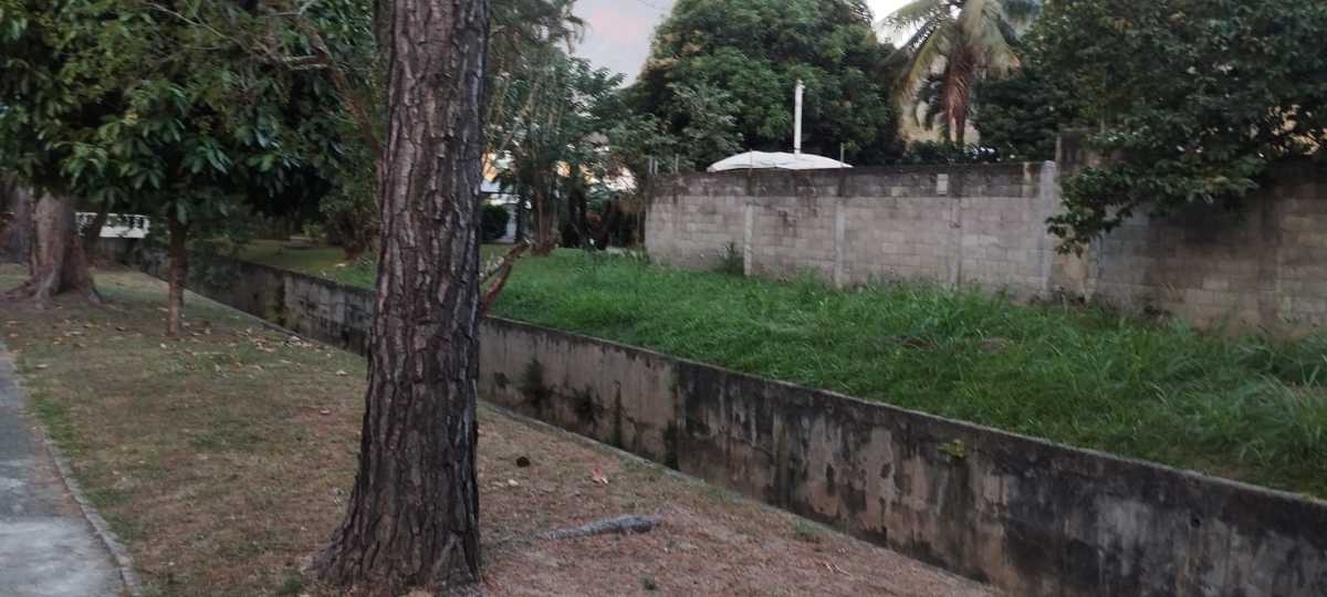 Terreno, 800 m² - Foto 16