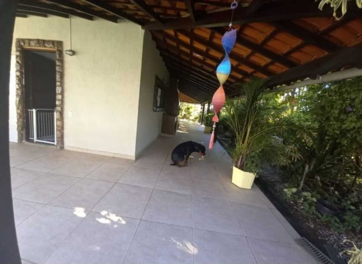 Casa à venda com 3 quartos, 360m² - Foto 16