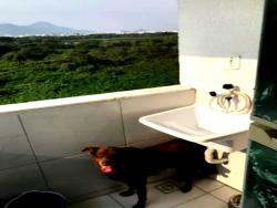 #Real1340 - Cobertura Duplex para Venda em Rio de Janeiro - RJ