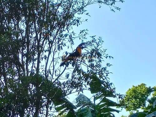 Casa, 4 quartos, 306 m² - Foto 9