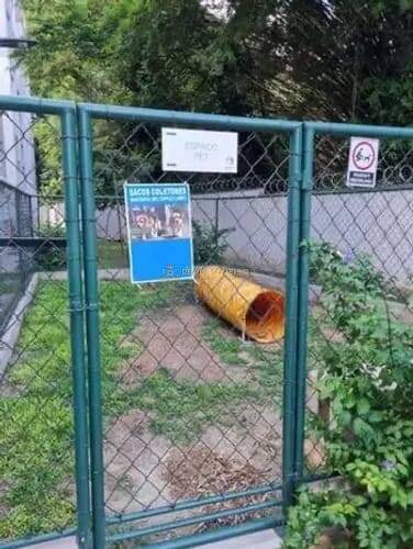 Apartamento, 3 quartos, 56 m² - Foto 19