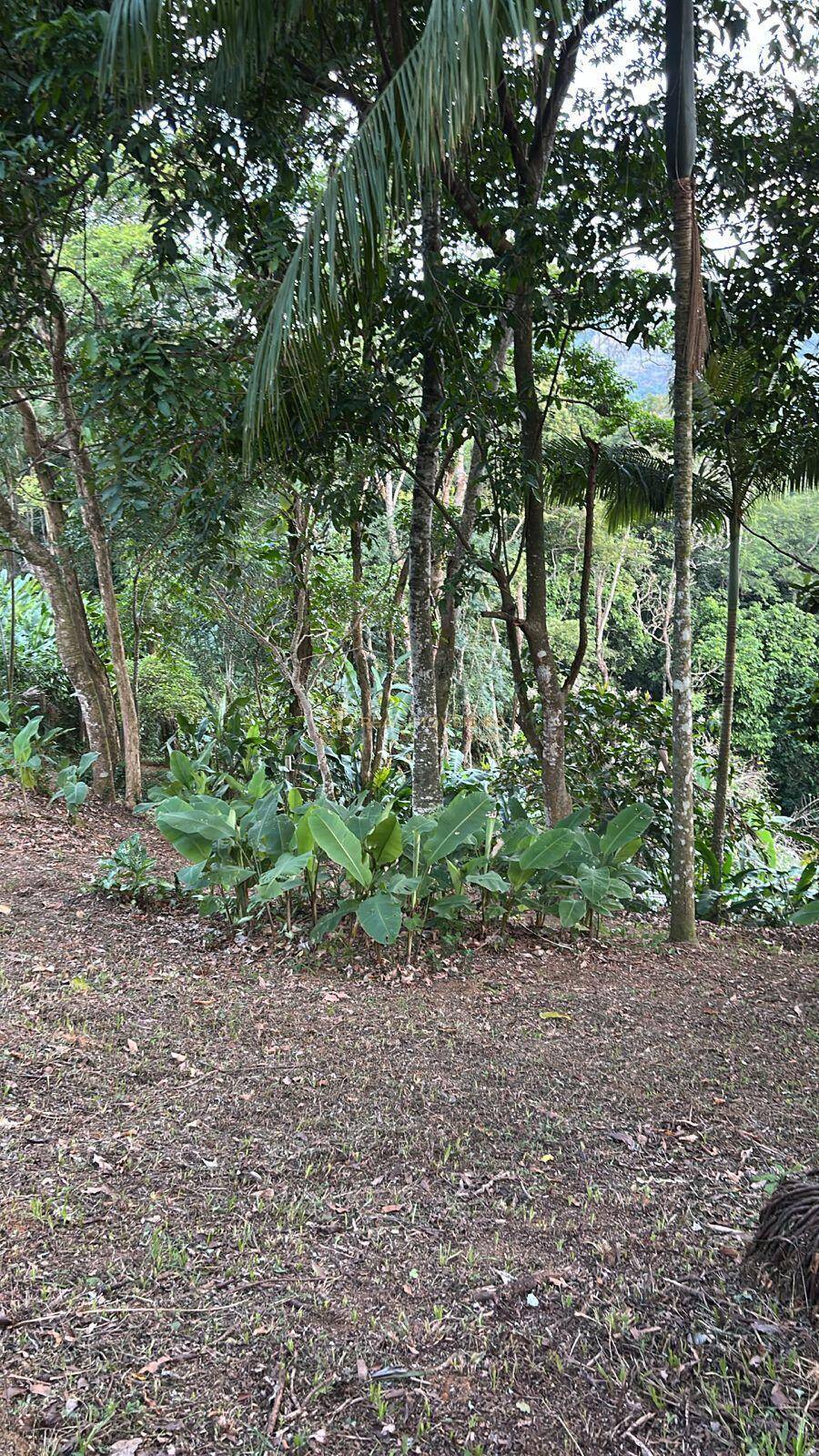 Casa, 1100 m² - Foto 5