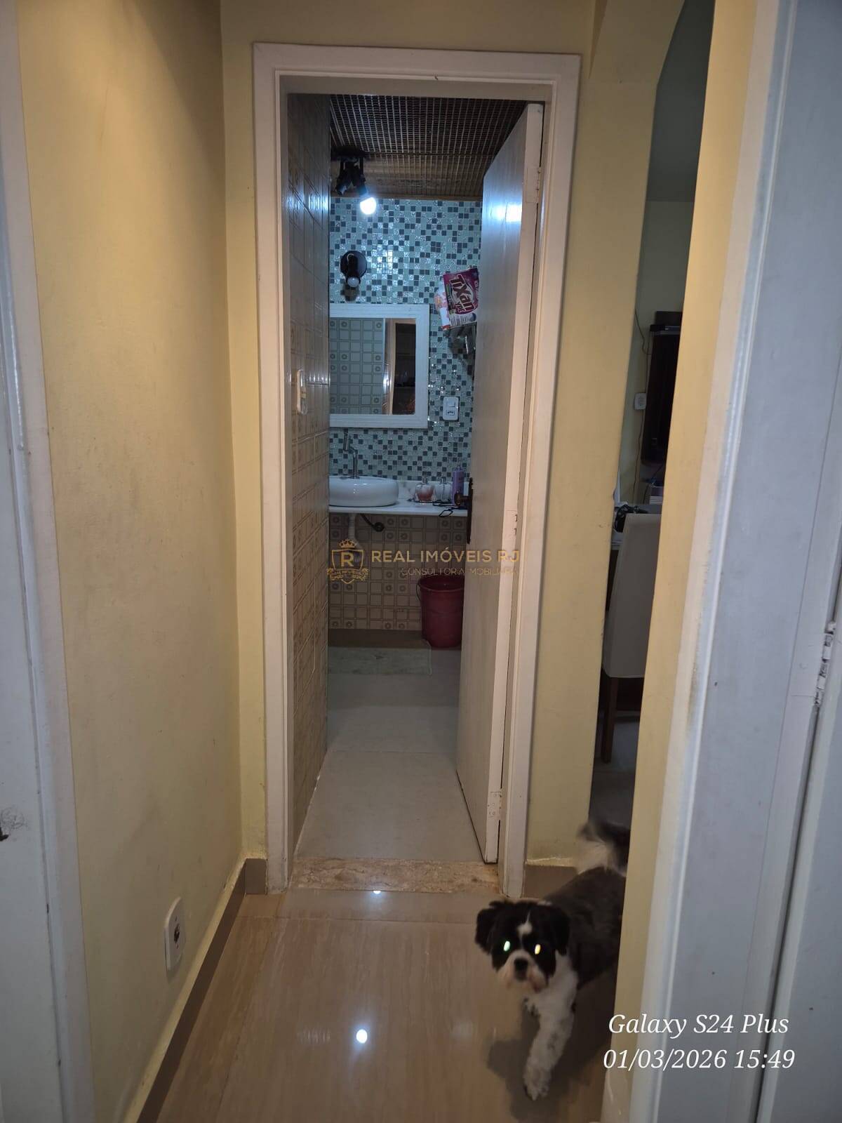 Apartamento, 3 quartos, 60 m² - Foto 25