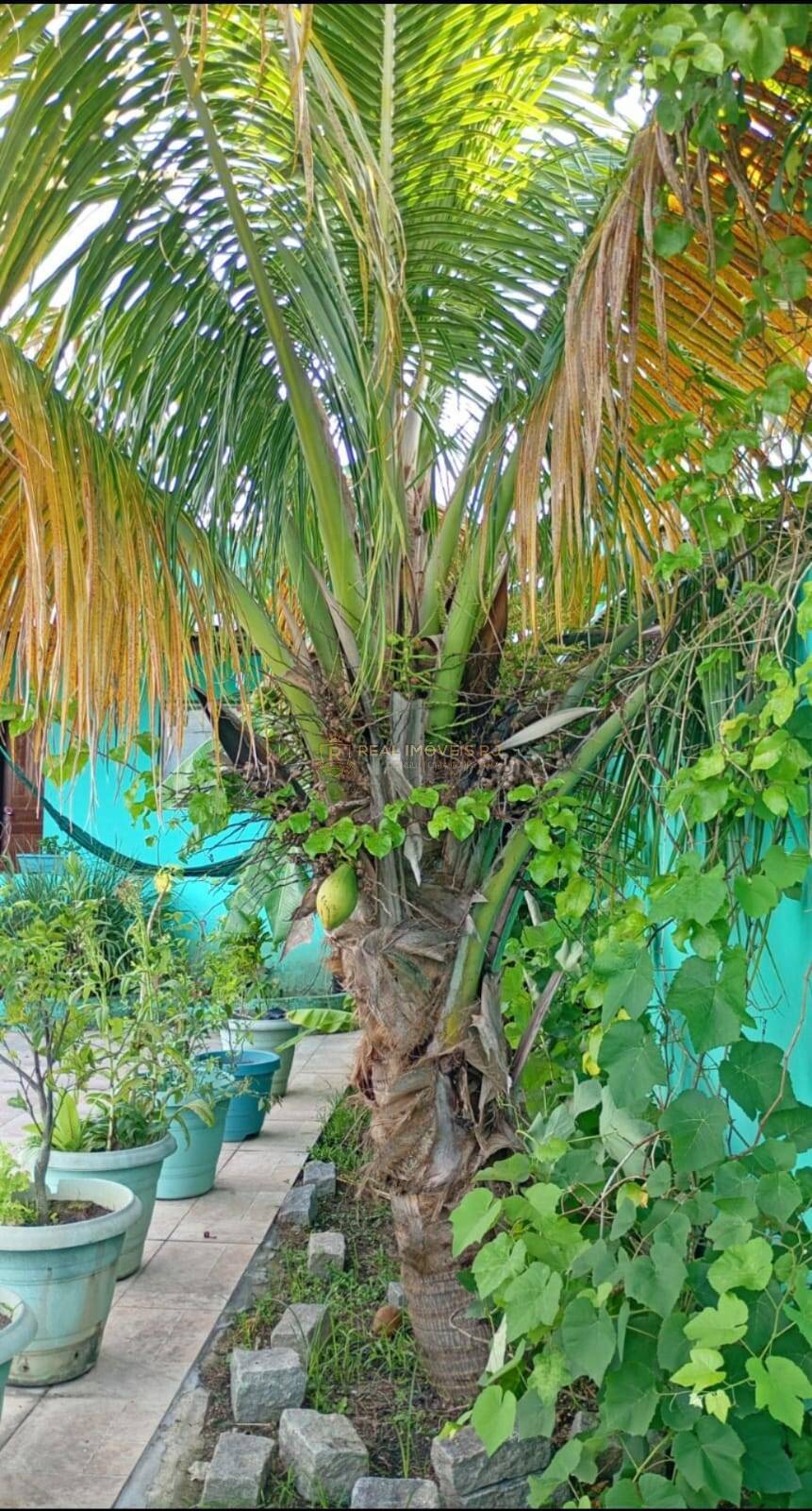 Casa, 3 quartos, 100 m² - Foto 10